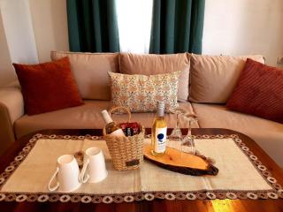 Dvata Smurcha Central Apartments - Free Parking - Bansko - 8