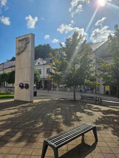 Luxury Central Square Apartment - Dolný Kubín - 6