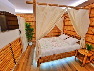 JUNGLE SPA-4 Pers-Jacuzzi-Parking-Jardin-Clim-Colmar - Muntzenheim - 8
