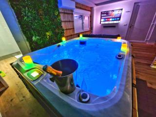 JUNGLE SPA-4 Pers-Jacuzzi-Parking-Jardin-Clim-Colmar - Muntzenheim - 9