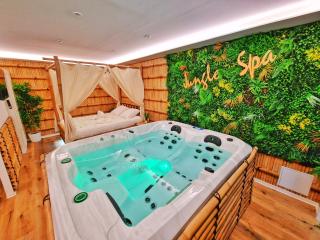 JUNGLE SPA-4 Pers-Jacuzzi-Parking-Jardin-Clim-Colmar - Muntzenheim - 4