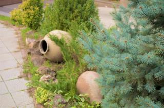 Ivy Boutique Hotel - 8