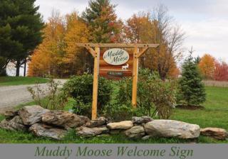 Muddy Moose - Morrisville - 4