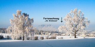 Ferienwohnung "Am Waldsaum" - Kurort Gohrisch - 2