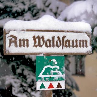 Ferienwohnung "Am Waldsaum" - Kurort Gohrisch - 1