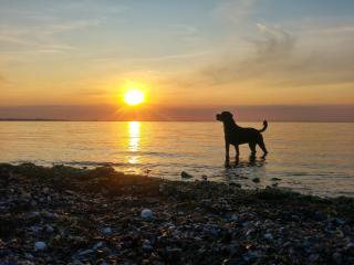 Ferienwohnung Deichkind Büsum - 7