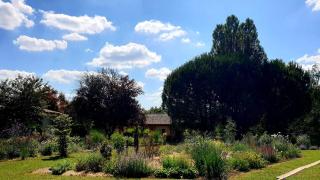 Les Gites Sur La Colline - 28 m2 one bedroom gite with shared pool - 1