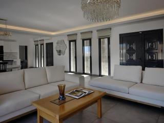 Villa Christy - Psarou - 2