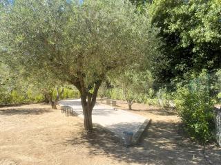 Villa Palmera - Saint-Cyr-sur-Mer - 6