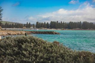 Surf, Relax & Unwind in Chiton - 6
