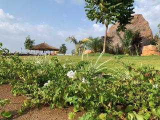 Ecoland Farm - - 5