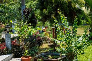 Birds Island Ayur-Yoga Retreat - Ernakulam - 8