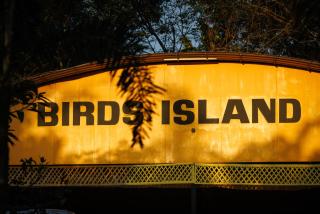 Birds Island Ayur-Yoga Retreat - Ernakulam - 1