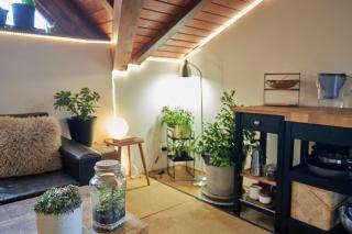 Panoramic 2 Bedroom Cabin Retreat Japanese Style - Bansko - 9