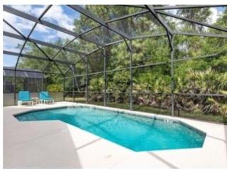 Make your dreams really come true!!! - Kissimmee - 1