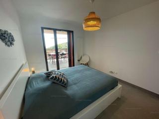 4TERIMP-A02 T3 neuf avec terrasse climatisation parking Collioure - Collioure - 8