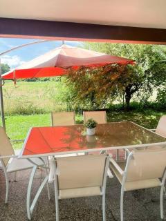 Le jardin secret - Colmar - WIFI - Horbourg - 4