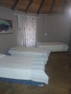 Mbaula lodge - Letaba Wildlife Reserve - 5