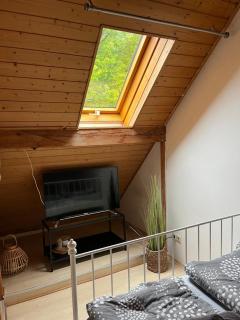 Heimerlmühle - Neunburg vorm Wald - 7