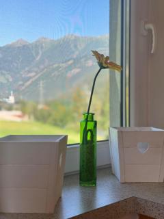 Direkt-am-Fluss-und-im-Moelltal-Ferienwohnung-Die-Moell - Stall - 7