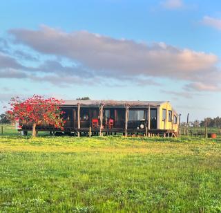 Beermullah Shearing Shed - - 7
