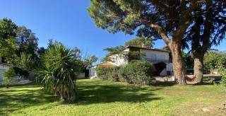 Mas des catalanes Cocon Privé climatisation, wifi 2MASCAT39 - Perpignan - 3