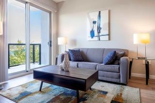 Modern Apt with Luxury Amenities - ESC-708 - Stamford - 9
