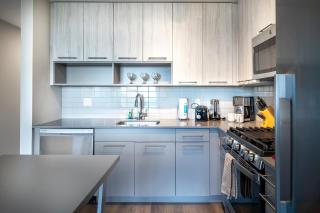 Modern Apt with Luxury Amenities - ESC-708 - Stamford - 4