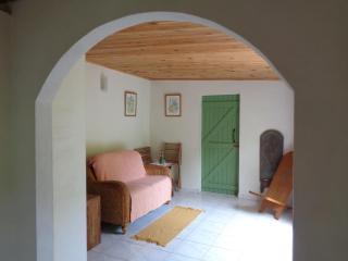 Graine d'Ortie bio & vegan - Cilaos - 5
