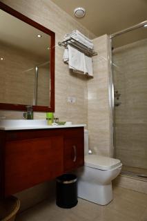 Dilijan Park Resort & Villas - Dilijan - 8