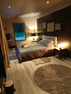 Suite Balnéo en bord de forêt - Pouzy-Mésangy - 8