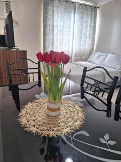 XIAN Condominium - Città di Cebu - 8