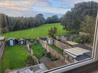 Little Willows - 4