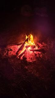 Acampamento no Camping Sagrada Natureza - Paraty - 7
