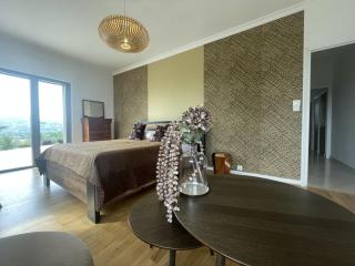 Le Brésil au coeur des vignes de Condrieu - 3