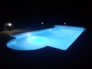 Authentique mas avec piscine en Provence - Régusse - 1