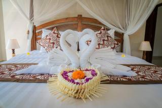 Spacious 2 Bedroom Private Pool Villas - Ubud - 5