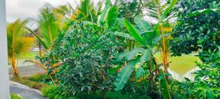 Srijaya Ubud by SHM - Ubud - 3