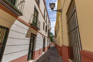 Conde Ibarra Deluxe By Valcambre - 9