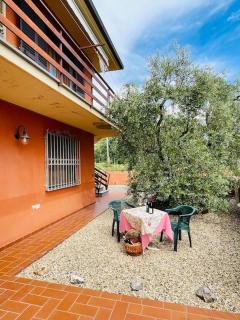 Casa Narcisa la tua oasi tra Vigne e Olivi - Montecarlo - 3