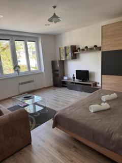 Apartman RUŽA7 - Ružomberok - 7