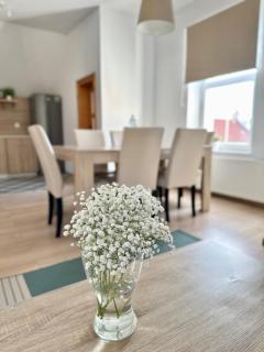 Przestronny apartament nr 7 z widokiem na góry Sowie - 9