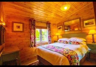 Rainbow Petty - Romney Marsh, Kent - 1