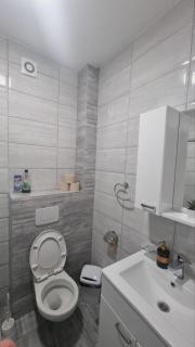 Apartman Djordjevic - Soko Banja - 7