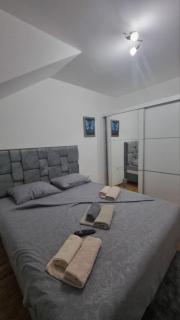 Apartman Djordjevic - Soko Banja - 0
