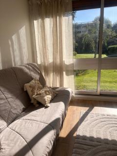 Vue Jardin - Le Chesnay - 9