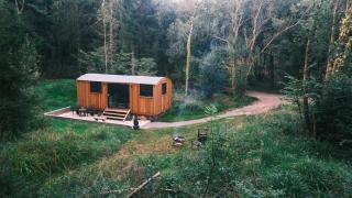 Woodpecker Cabin - 1