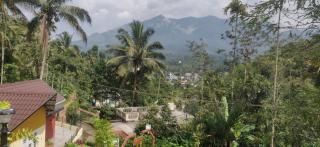 Hill view - Padinjarathara - 0