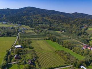 Piotrowiczówka Osada w Szczyrzycu - 4