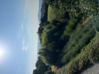 b&b alrobale - Strozza - 3